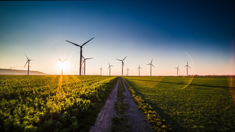 A row of wind turbines at sunset with a path running through a green field.